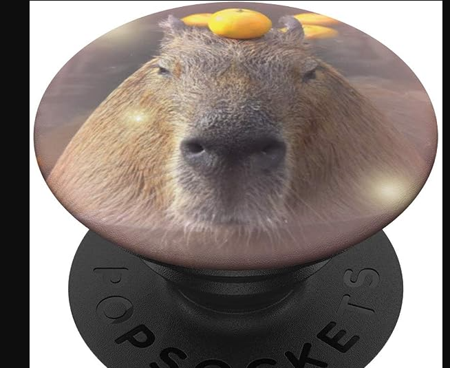 Capybara with orange on head3