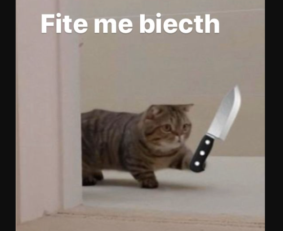 Cat knife meme7