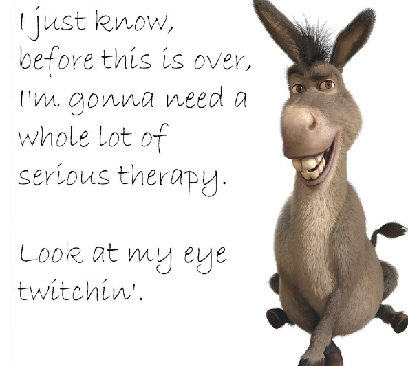 Donkey quotes from shrek