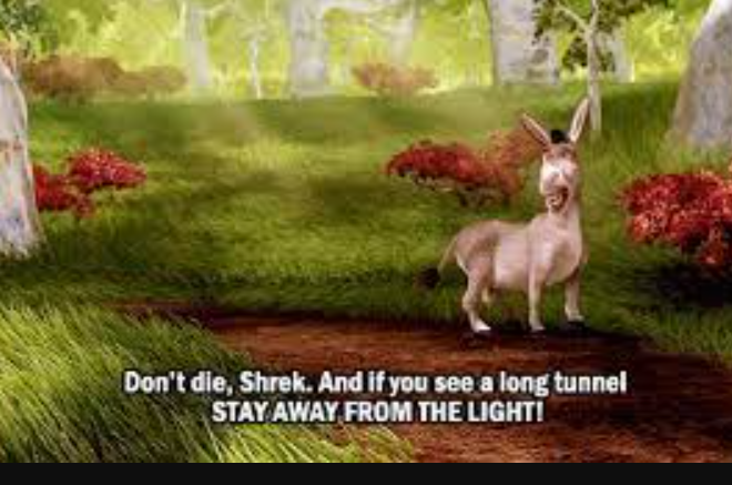 Donkey quotes from shrek11