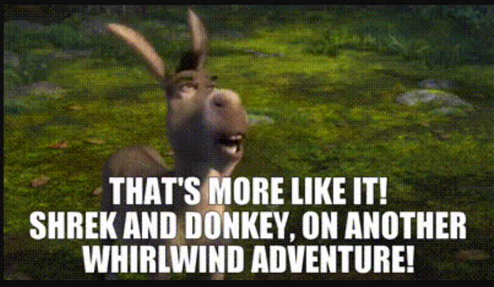 Donkey quotes from shrek12