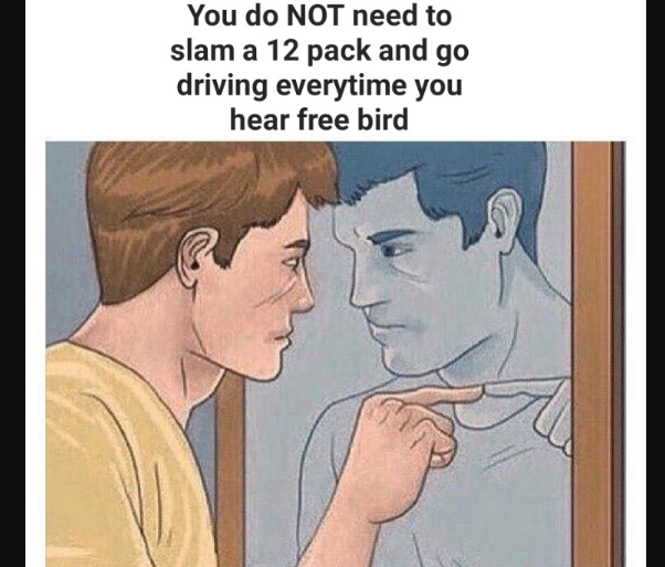 Free bird meme4