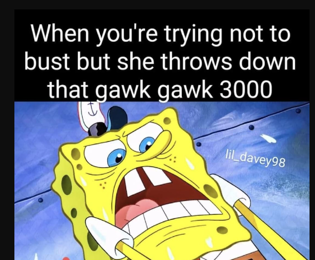 Gawk gawk 3000 meme1