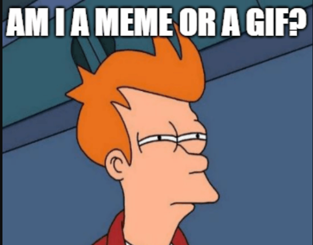 Gif vs meme? – Memes Feel