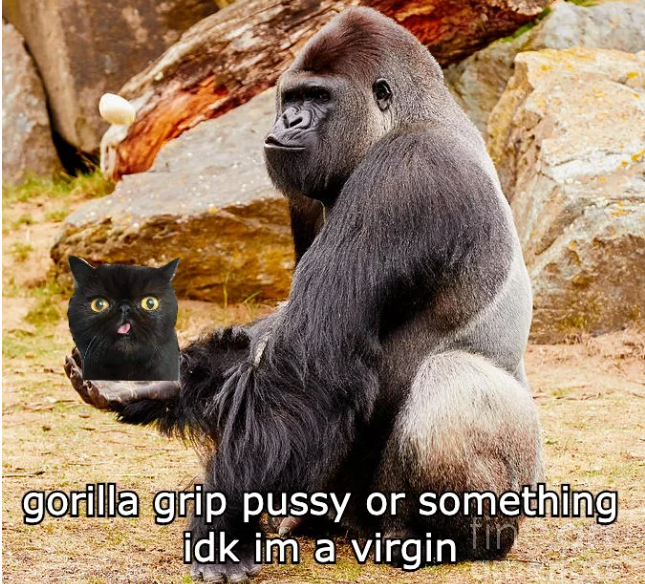 Gorilla grip pussy3