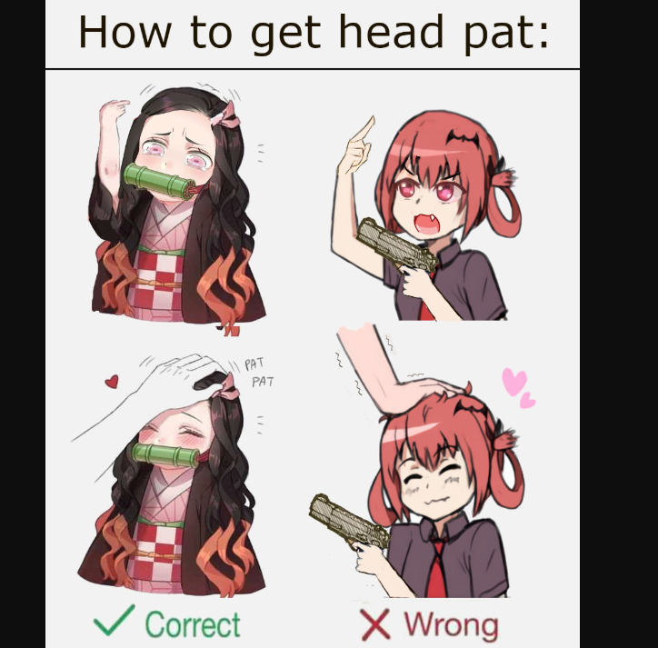 Head pat10