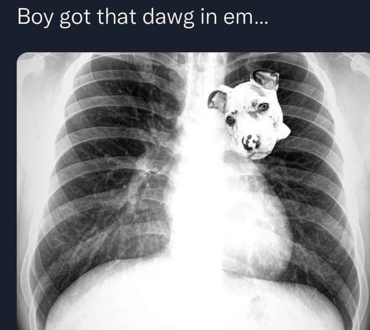 Hes got that dawg in him4