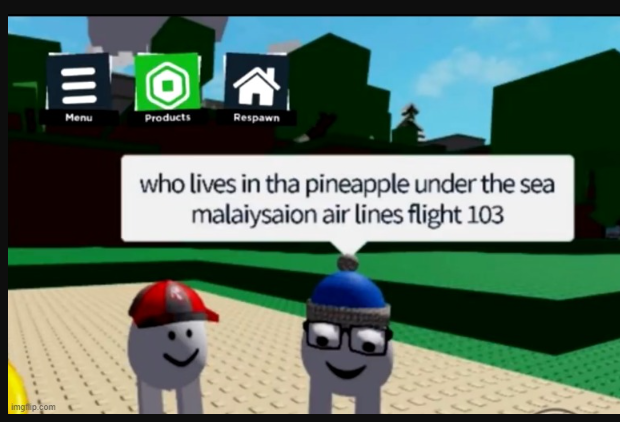 Malaysian airlines flight 1031