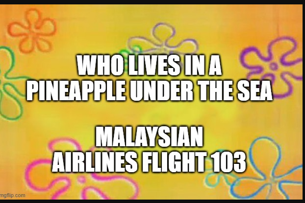 Malaysian airlines flight 10311