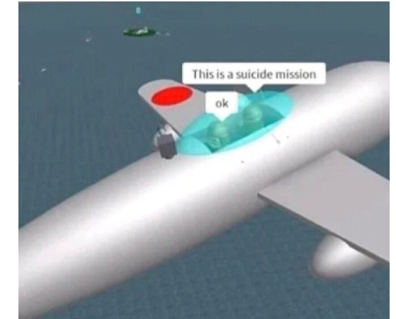Malaysian airlines flight 10312