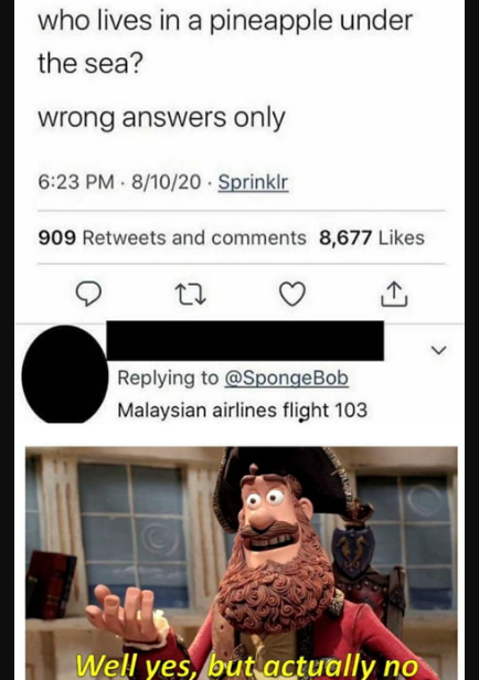 Malaysian airlines flight 1033