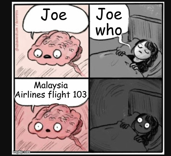 Malaysian airlines flight 1039