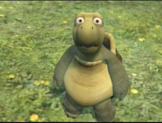 Over the hedge turtle meme