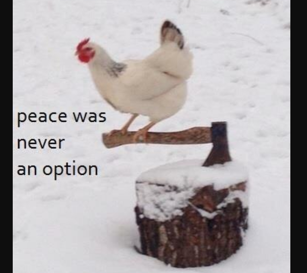 Peace was never an option goose5