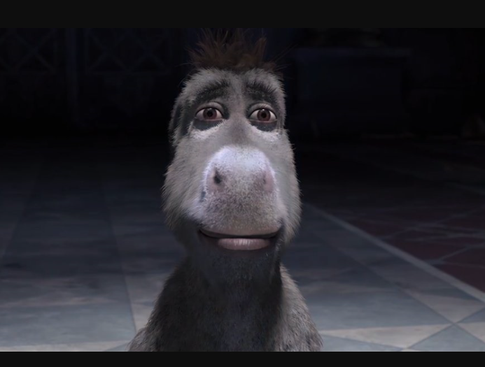 Staring donkey meme