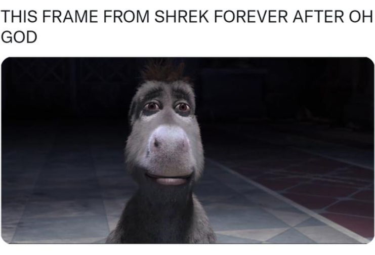 Staring donkey meme2