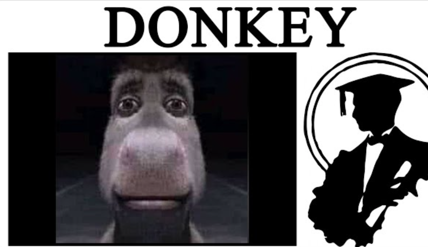 Staring donkey meme3