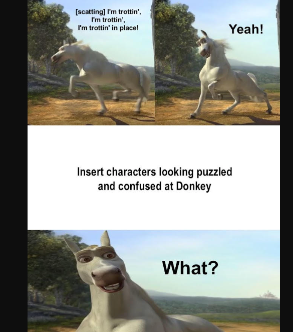 Staring donkey meme5