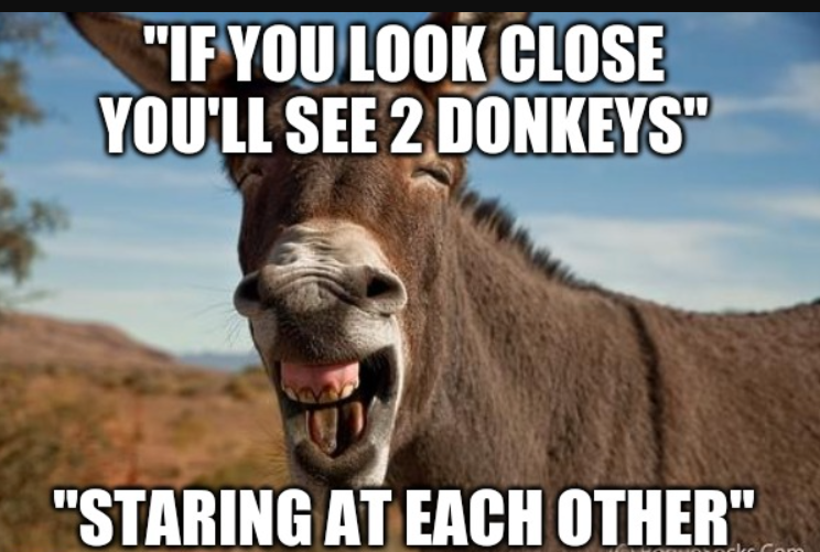 Staring donkey meme8