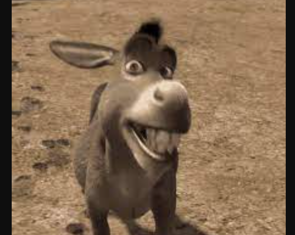 Staring donkey meme9
