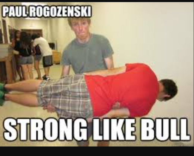 Strong like bull meme13