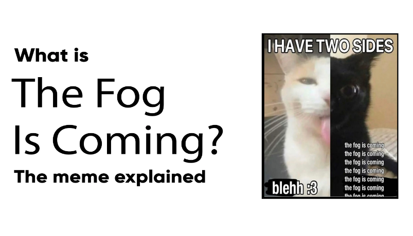 The fog is coming meme1