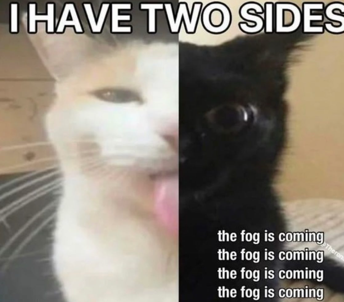 The fog is coming meme3