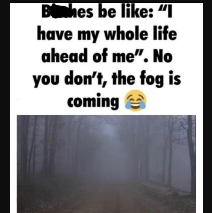 The fog is coming meme6
