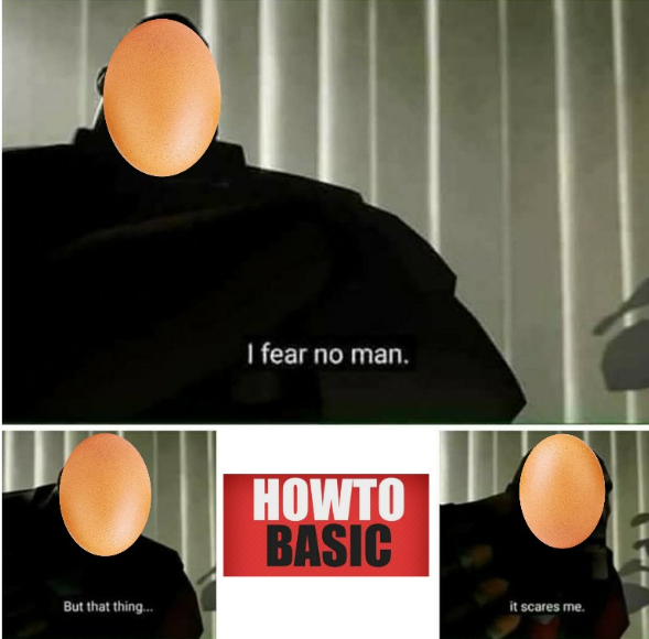 Who is howtobasic11