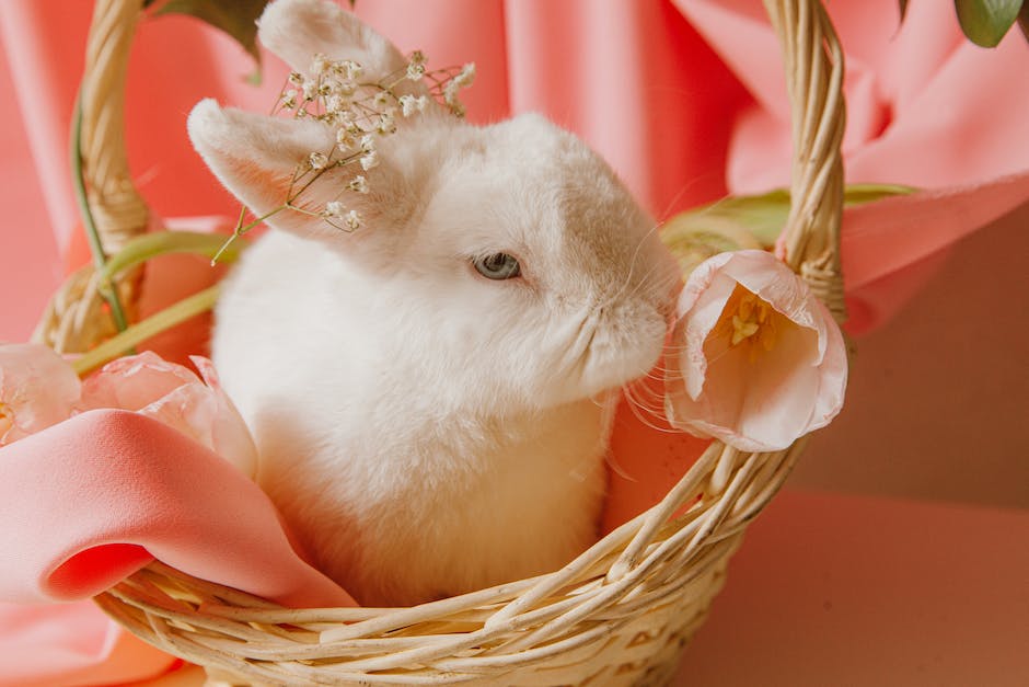 beautiful easter pictures_1