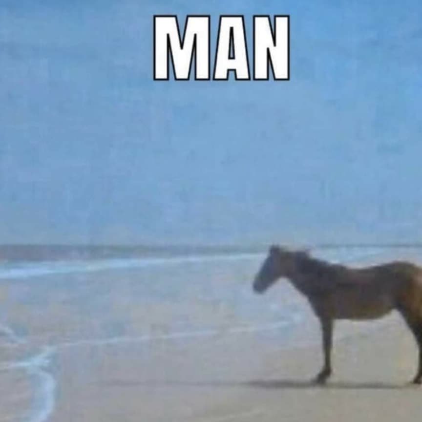 man-horse-meme-9b7.jpg