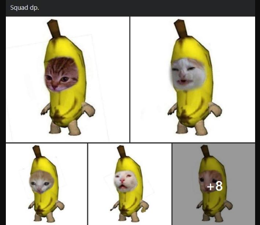 Banana cat meme1