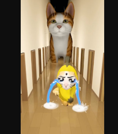 Banana cat meme10