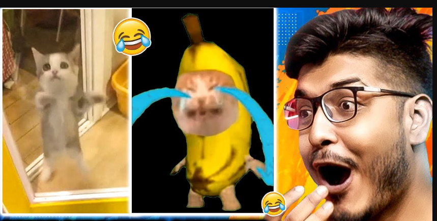 Banana cat meme2