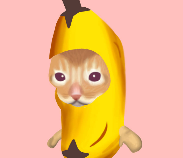 Banana cat meme5