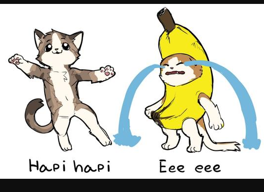 Banana cat meme9