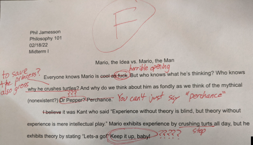 Mario the idea vs mario the man essay