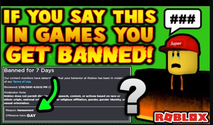 Roblox ban screen10