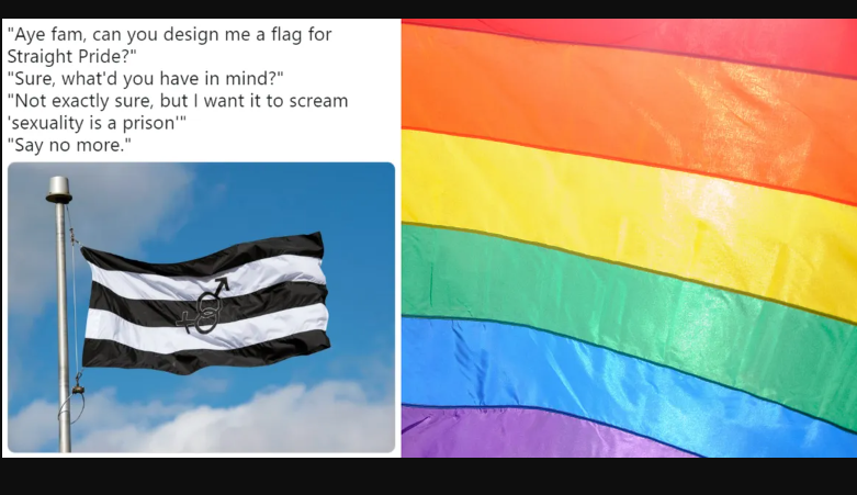 Ultra pride flag7