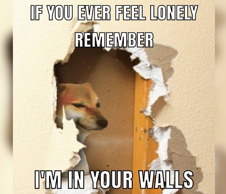 im in your walls