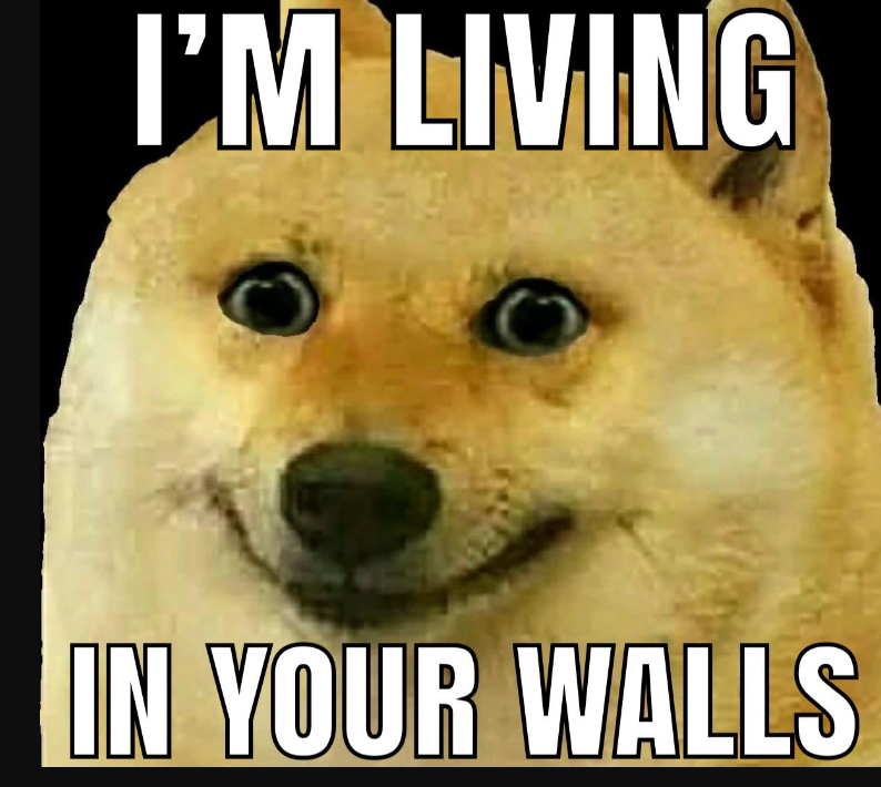 im in your walls4
