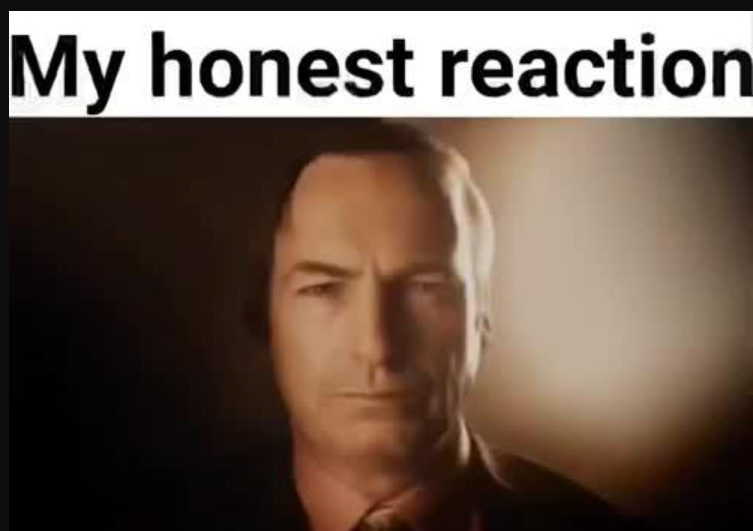 my honest reaction meme5 Copy